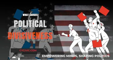 Polarization Pitfalls: Unraveling the Roots of Political Divisiveness
