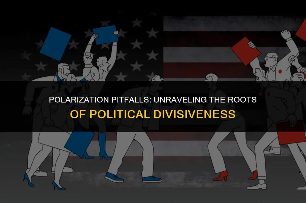what causes political divisiveness