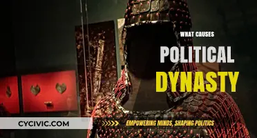 Roots of Power: Exploring the Origins of Political Dynasties
