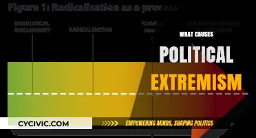Unraveling the Roots: What Drives Political Extremism?