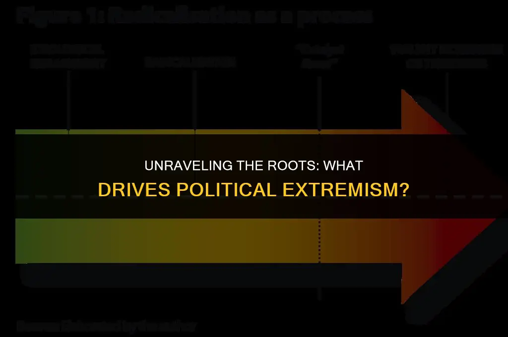 what causes political extremism