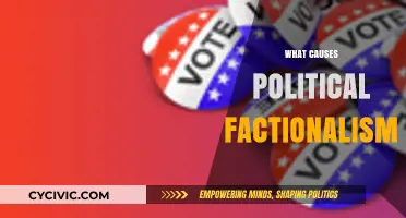 Divided Loyalties: Unraveling the Roots of Political Factionalism