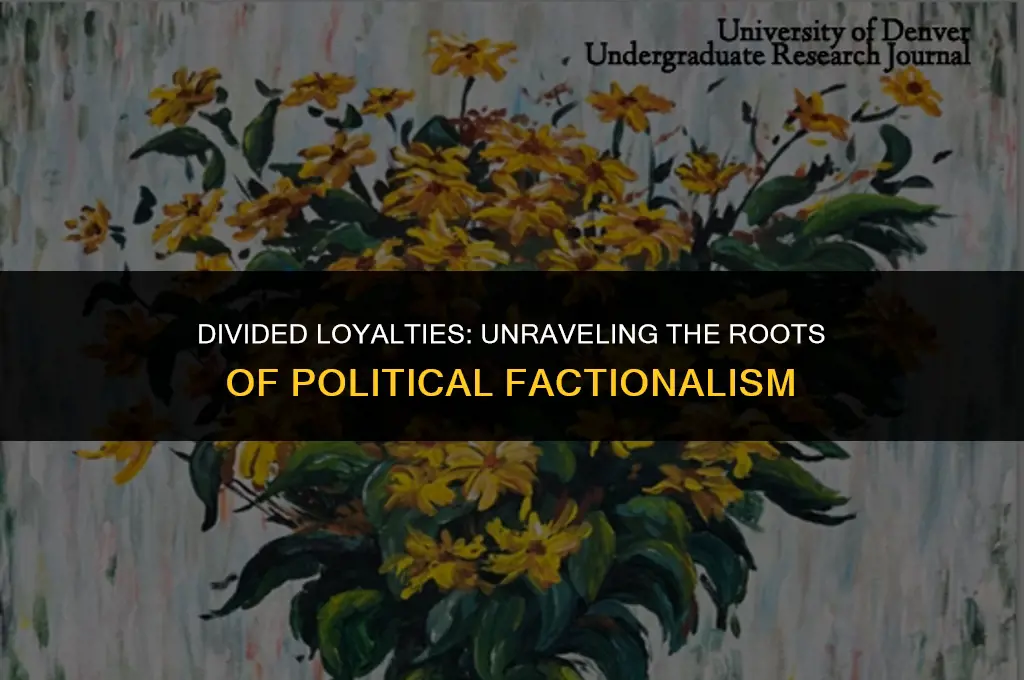 what causes political factionalism