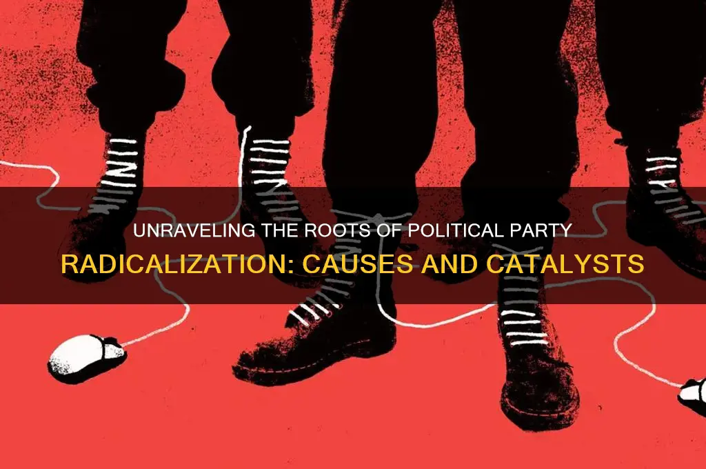 what causes political party radicalization