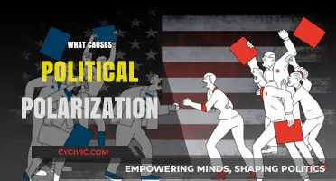 Understanding the Roots of Political Polarization: Causes and Consequences