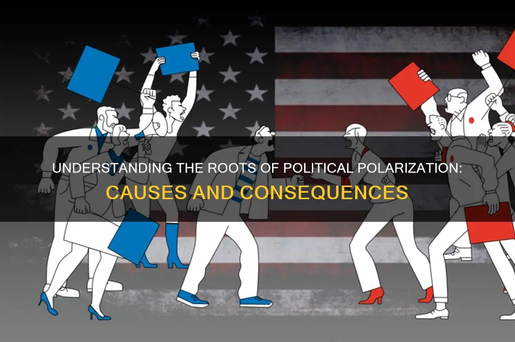 what causes political polarization