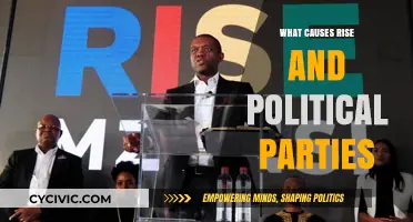 Understanding the Factors Behind the Rise of Political Parties