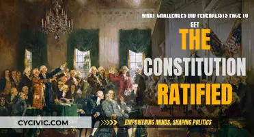 Federalists' Constitution Ratification: Overcoming Adversity and Division