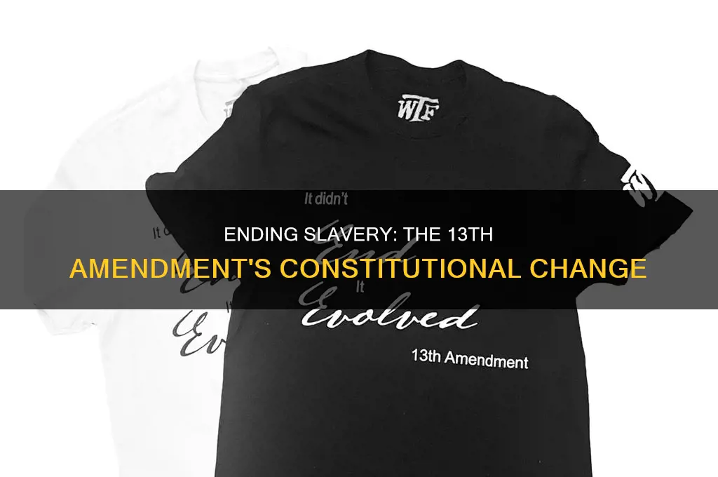 what change to the constitution does amendment 13 provide