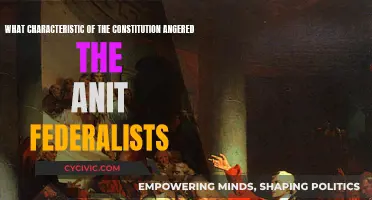 Federalists' Fury: Constitutional Characteristics Anger Anti-Federalists