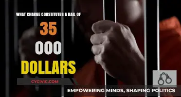 Bail Amounts: What Charges Result in $35,000 Bail?