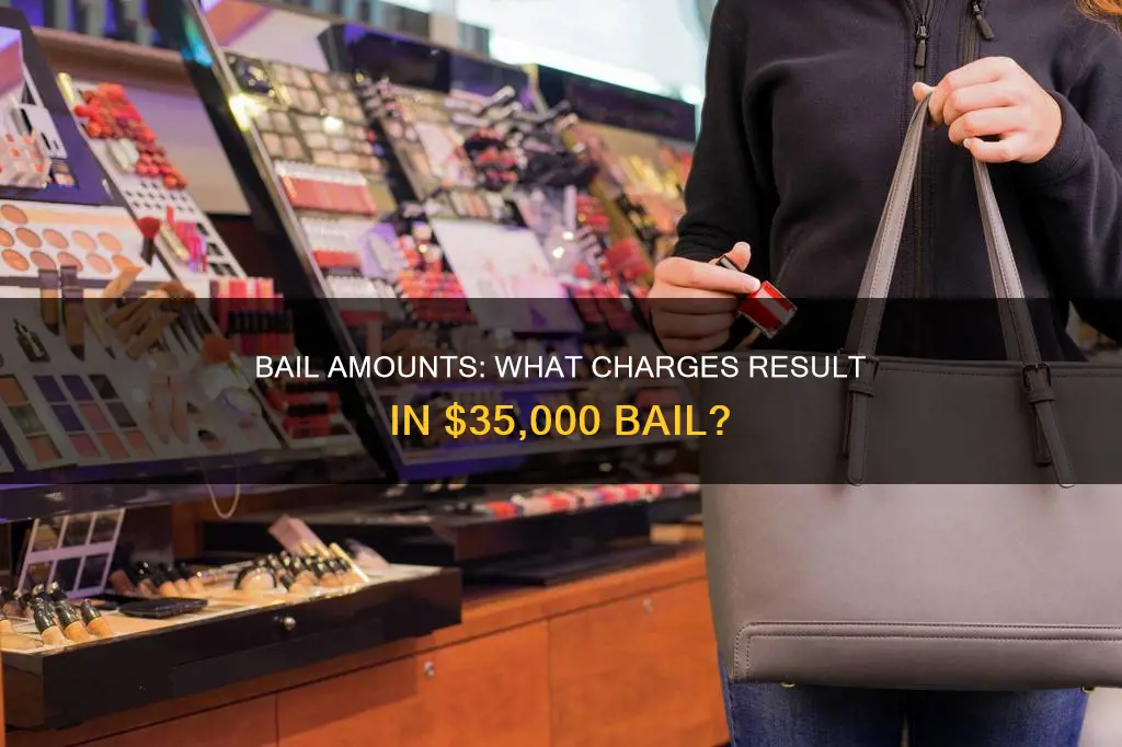 what charge constitutes a bail of 35 000 dollars