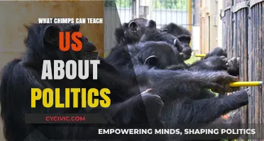 Primate Politics: Lessons from the Chimps on Cooperation and Conflict