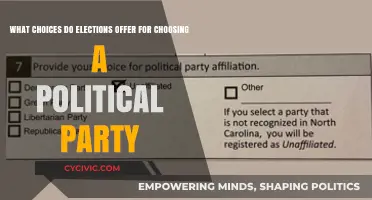 Elections and Party Choice: Navigating Political Options for Informed Voting