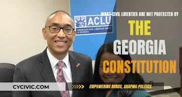 Civil Liberties Missing from the Georgia Constitution