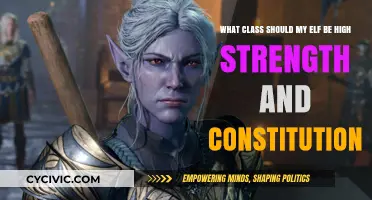 Best High-Strength, High-Constitution Elf Classes