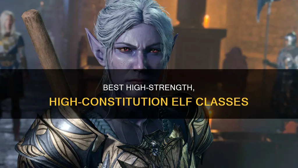 what class should my elf be high strength and constitution