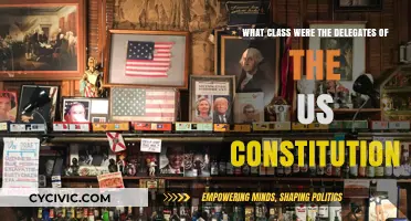 The US Constitution: Delegates' Class and Influence