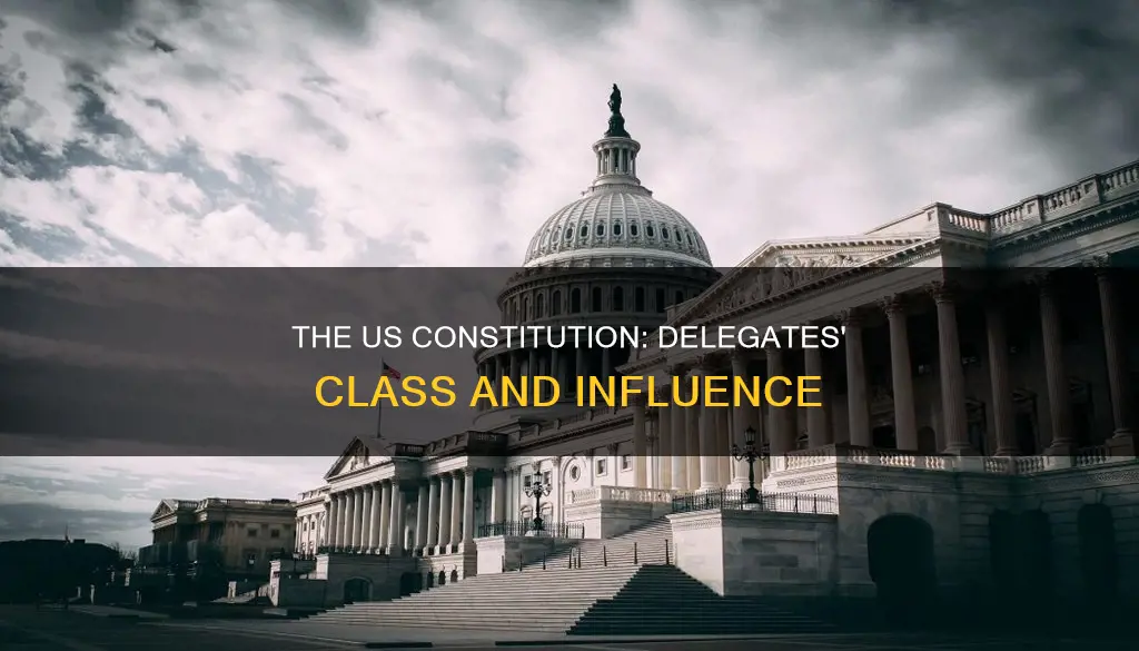 what class were the delegates of the us constitution