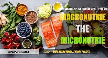 Macronutrients and Micronutrients: Essential for Human Health