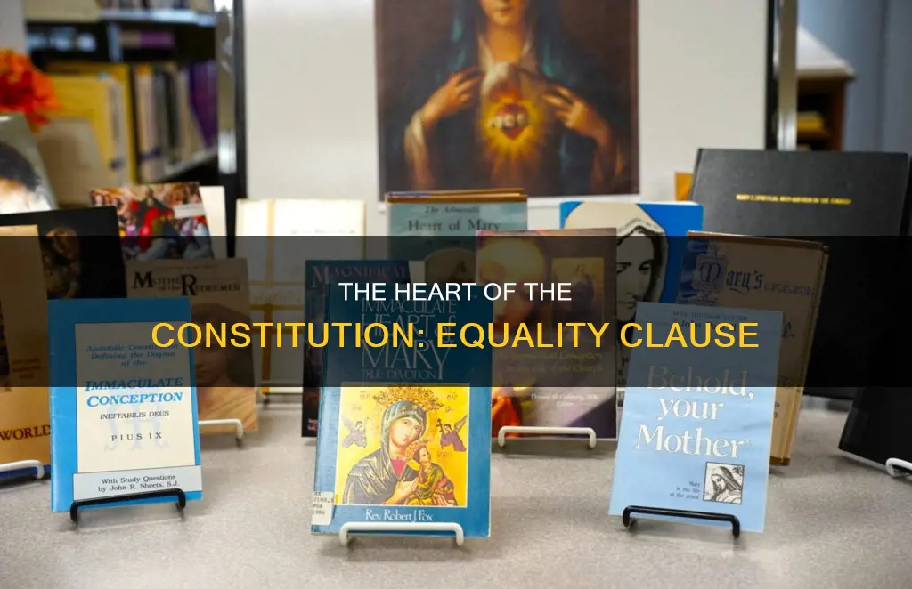 what claue is the heart of the constitution