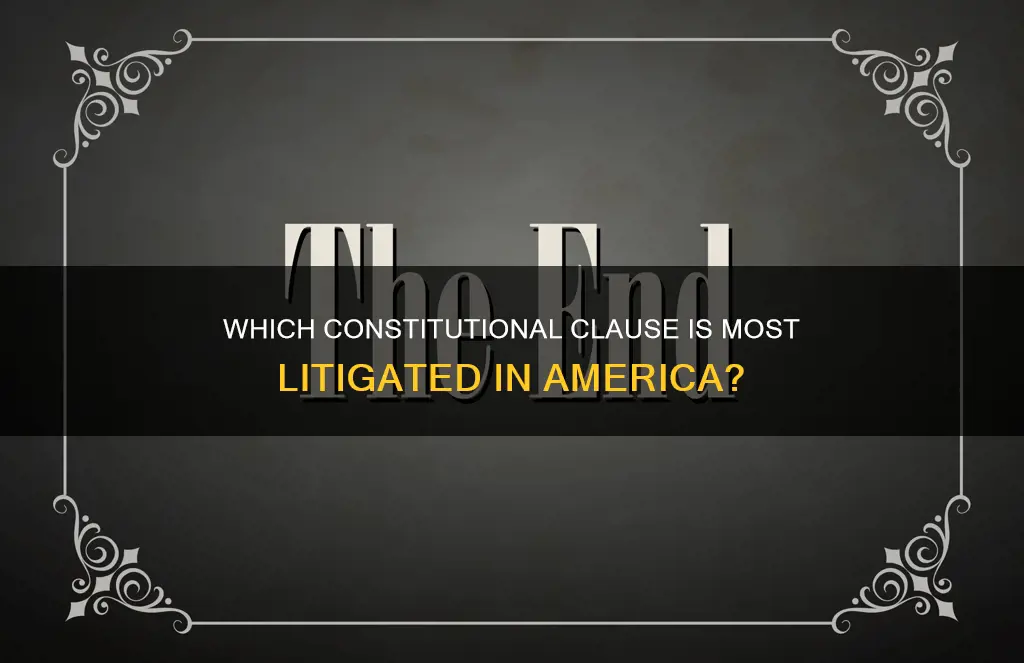 what clause in the american constitution is most litigated