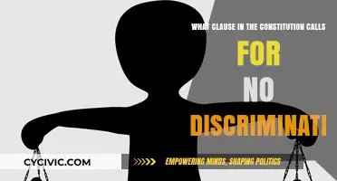 The Constitution's Equality Clause: No Discrimination