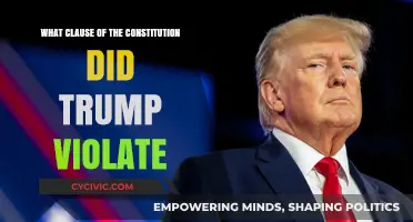 Trump's Constitutional Violation: The Clause He Broke