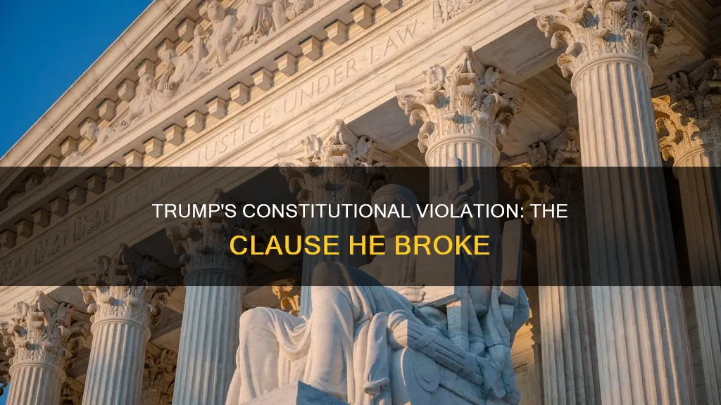 what clause of the constitution did trump violate