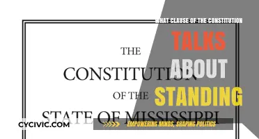Standing's Constitutional Clause: Understanding Your Rights
