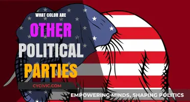 Exploring the Colorful Identities of Global Political Parties