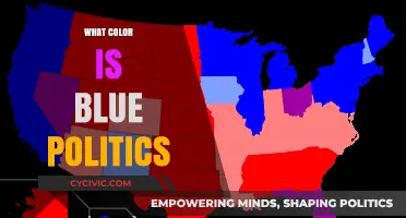 Decoding the Spectrum: Understanding Blue Politics Beyond the Surface