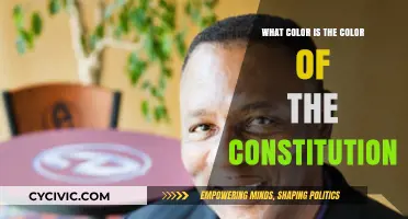 The Constitution's Color: Exploring America's Founding Document