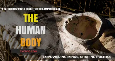 Human Decomposition: The Color Spectrum of Death