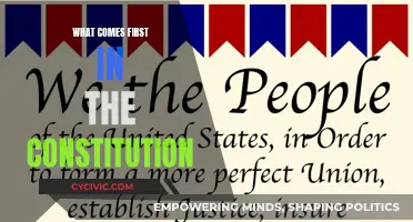 The Constitution's Core: Understanding the Fundamental Principles