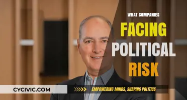 Navigating Turbulent Waters: Companies Grapple with Political Uncertainty