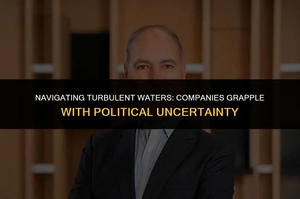 what companies facing political risk