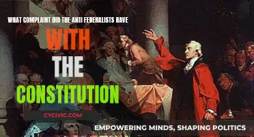 Anti-Federalists' Constitution Concern: Power and Liberty
