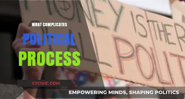 Navigating the Labyrinth: What Complicates the Political Process