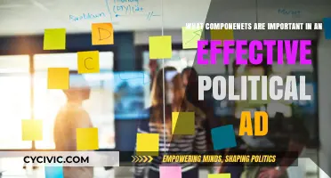 Crafting Impact: Key Elements of a Successful Political Ad