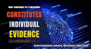 Fingerprint Patterns: Unlocking Individual Evidence