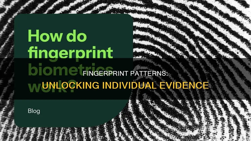 what component of a fingerprint constitutes individual evidence