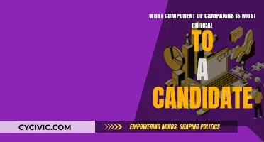 Campaign Strategies: Candidate's Critical Component