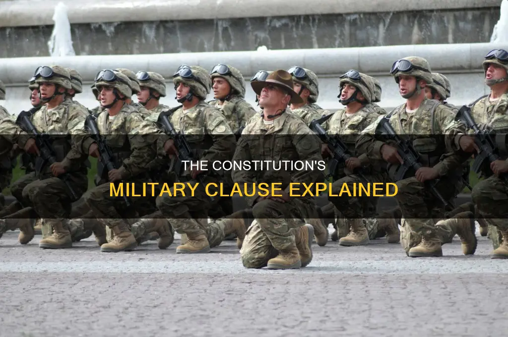 what component of the constitution talks about military