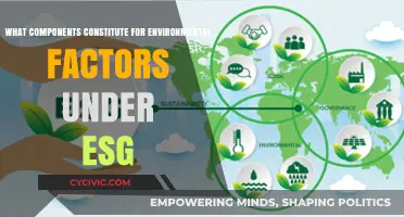 Environmental Factors: Understanding ESG's Core Components