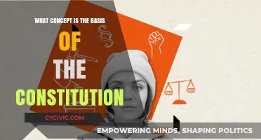 The Constitution's Core: Freedom and Democracy