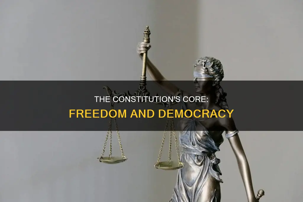 what concept is the basis of the constitution