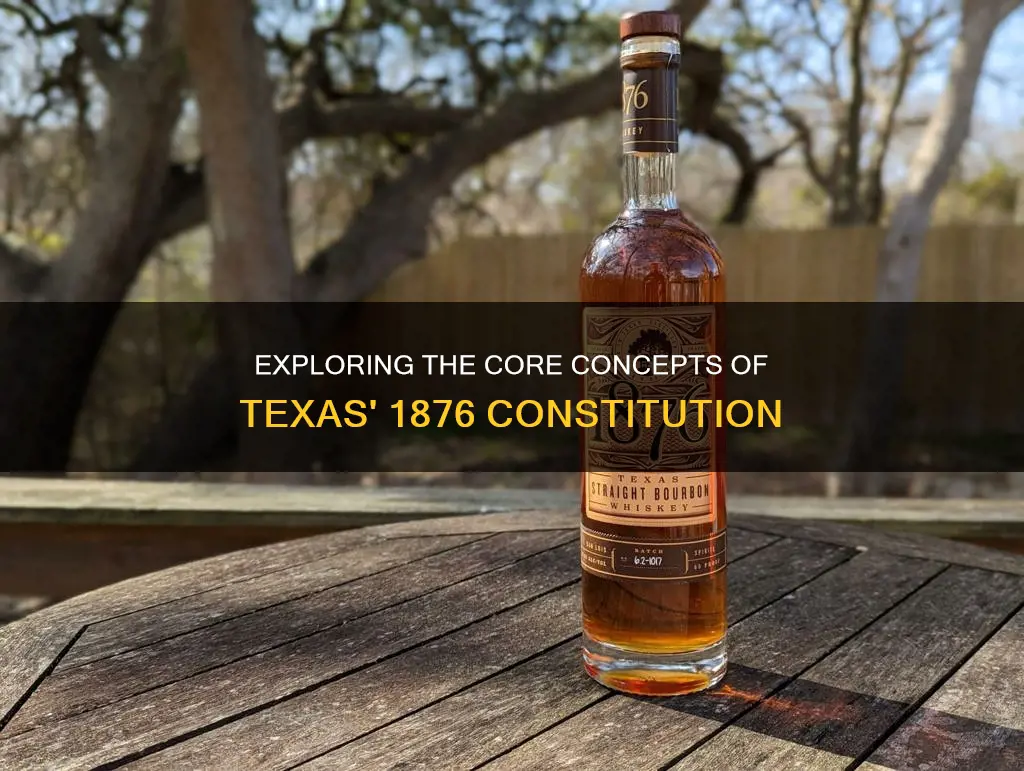 what concepts are in the texas constitution of 1876