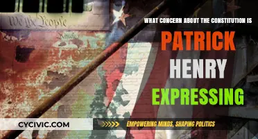 Patrick Henry's Constitutional Concern: What Was It?