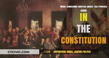 Brutus' Concerns: Constitution's Powers